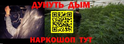ГАЛЛЮЦИНОГЕННЫЕ ГРИБЫ Гусев