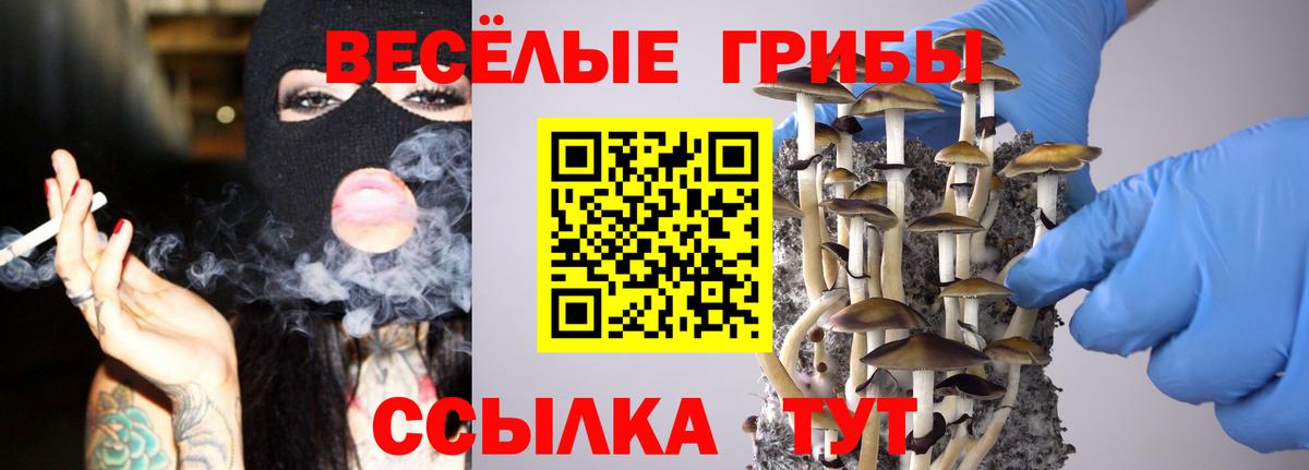 Псилоцибиновые грибы Psilocybe  Вход с VPN  Мирный 