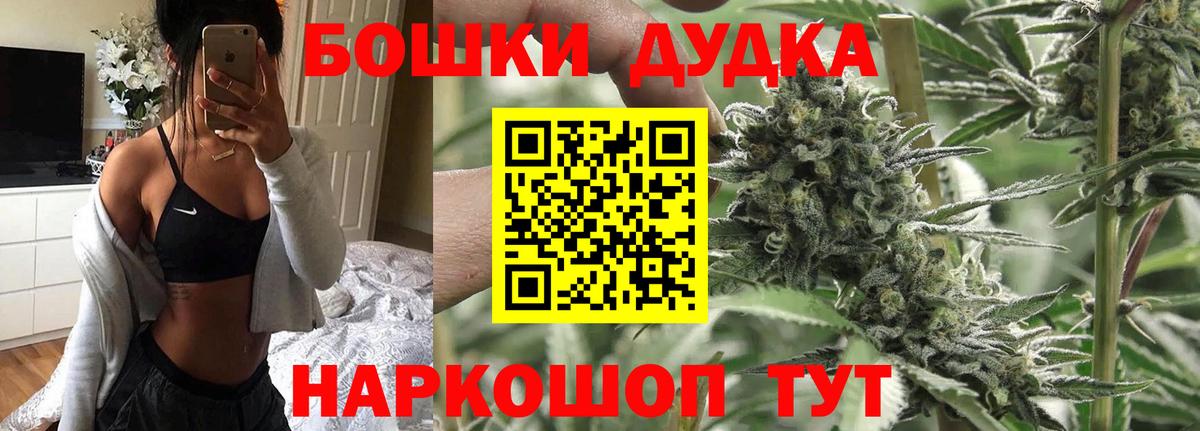 Конопля ГИДРОПОН  Каннабис семена  Мирный  Конопля конопля  Вход с VPN 